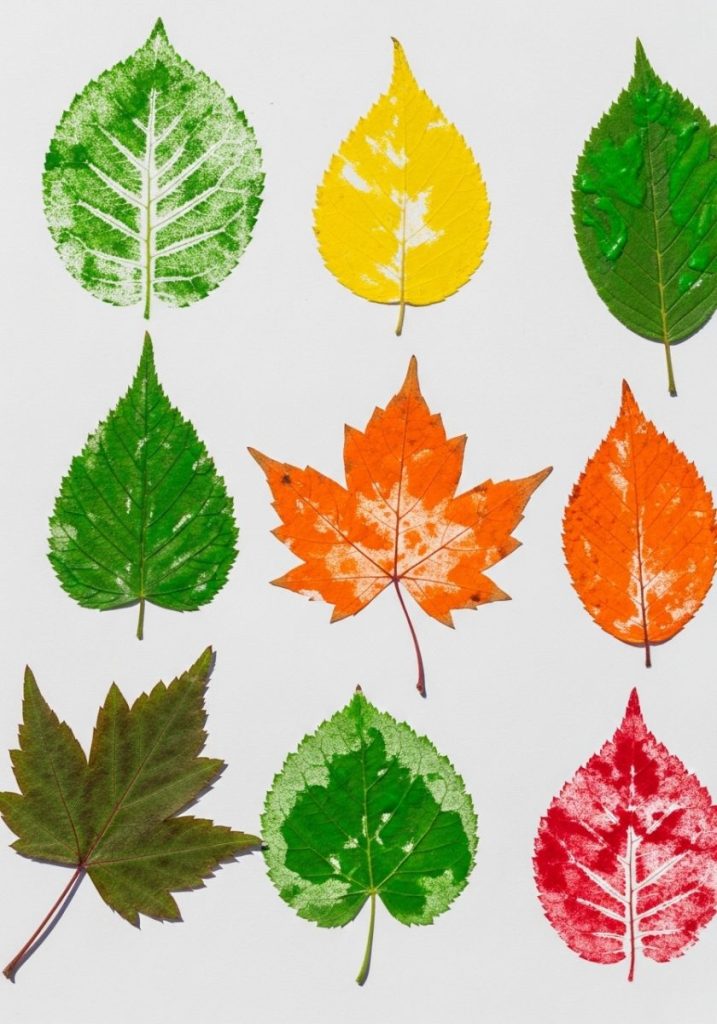 Outdoor leaf print art craft kids different shaped garden leaves painted bright summer colors pressed white paper lifted perfect leaf prints green yellow orange red arranged naturally beautiful creative summery