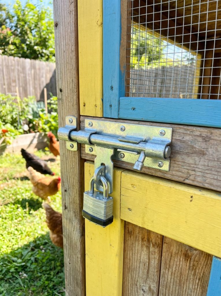 Secure DIY chicken coop door with heavy duty predator proof lock and latch installed