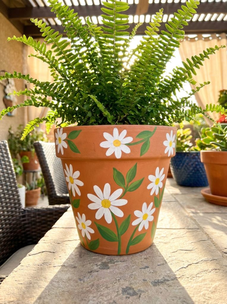 Hand painted terracotta pot with simple white daisy flowers and green leaves in sunny patio
