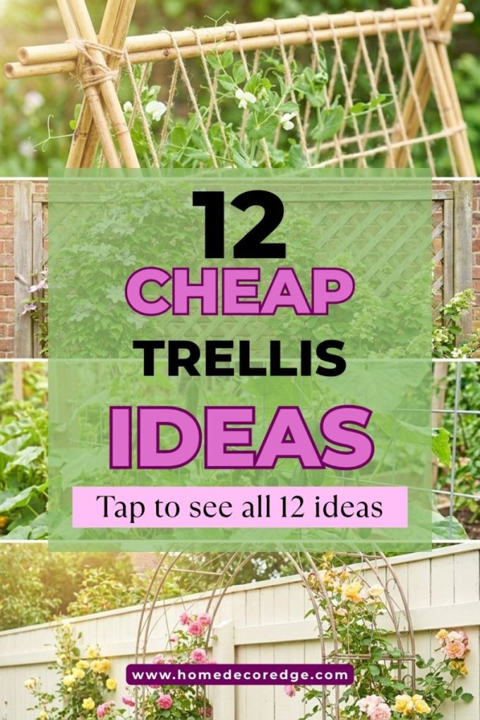 Four cheap trellis ideas including bamboo pea trellis wooden privacy screen wire cucumber and rose climbing fence trellis