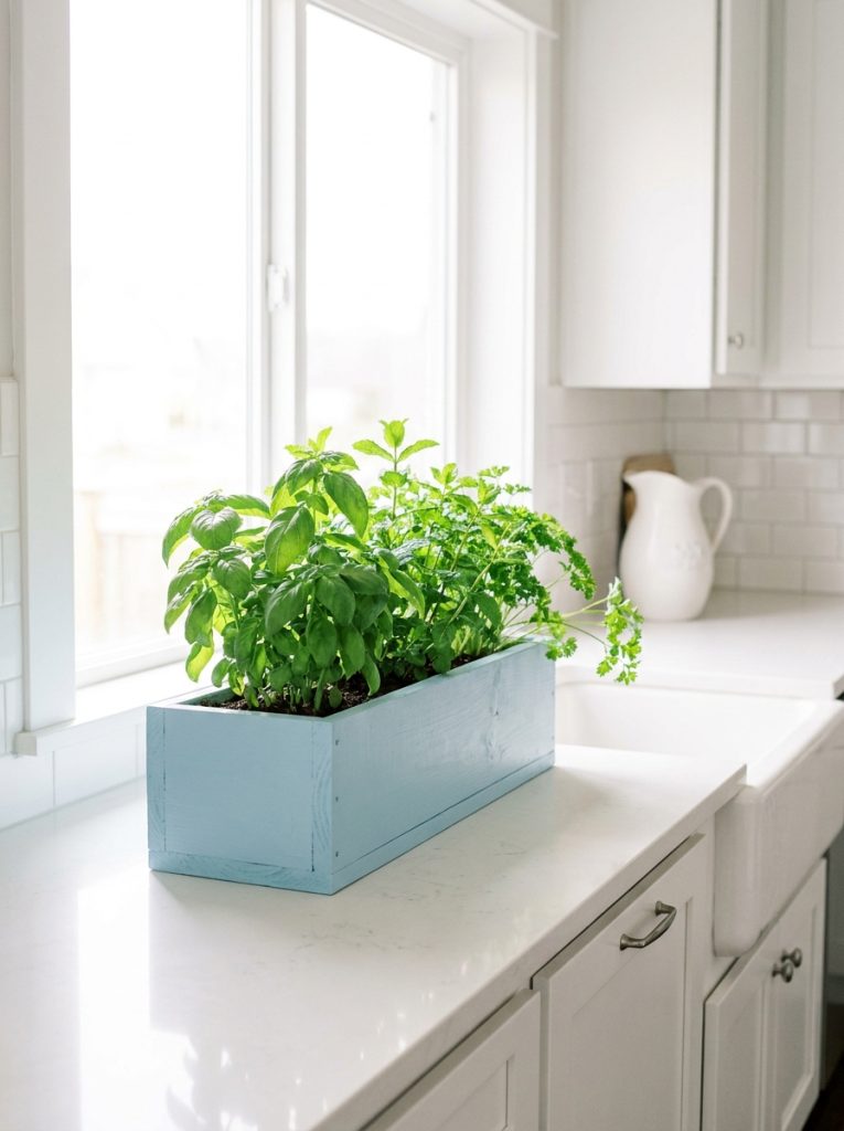  DIY indoor window box planter on bright kitchen windowsill filled with fresh herbs basil mint parsley