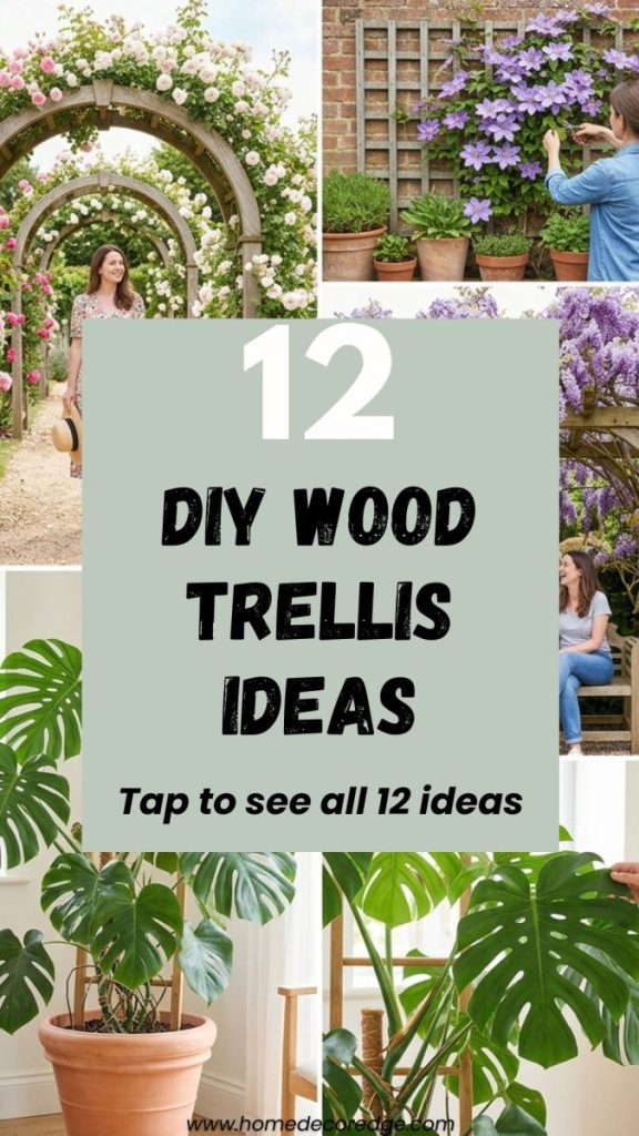 Four DIY wood trellis ideas including cedar arch with roses lattice wall with climbers elegant arbor with wisteria and indoor monstera support