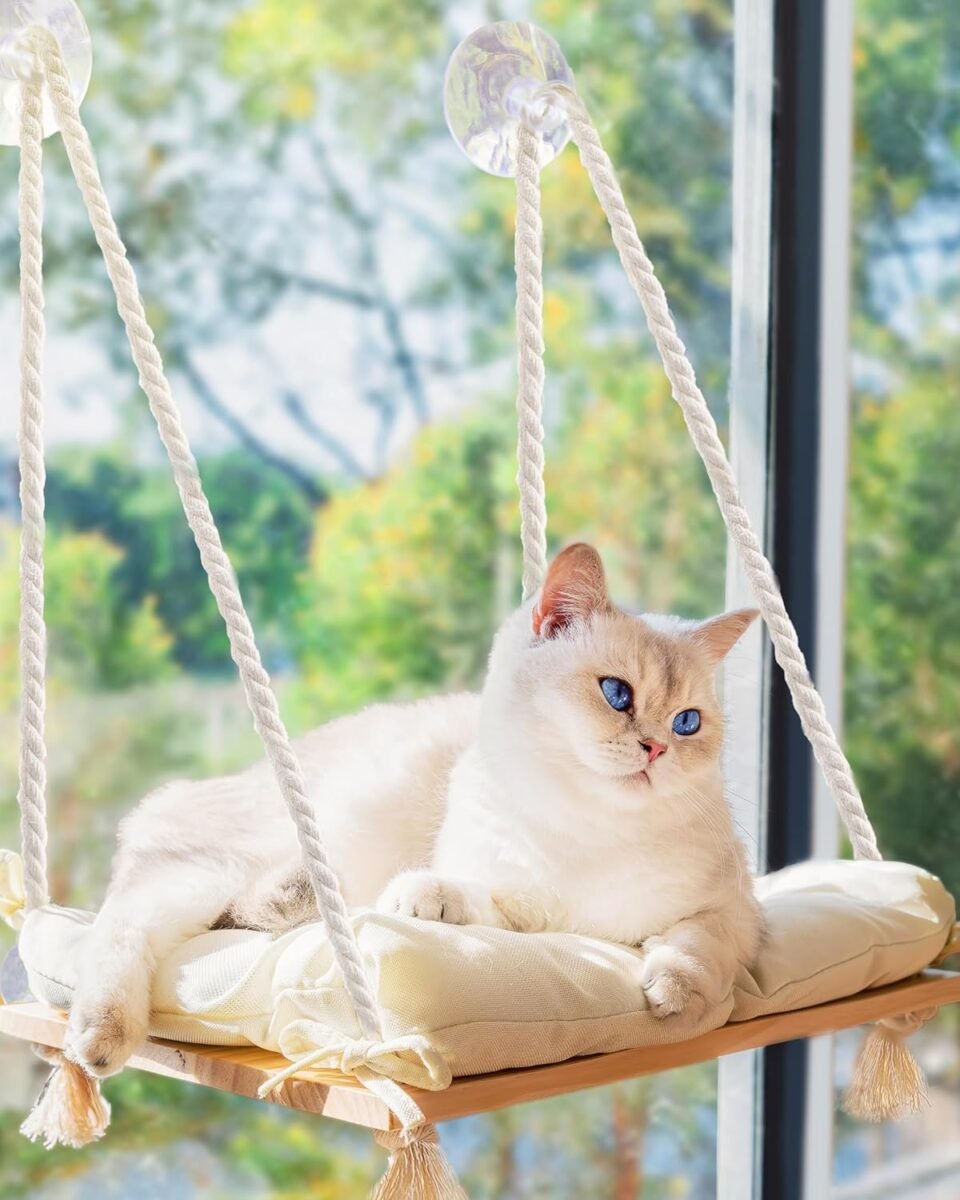 Solid pine cat window perch with suction cups